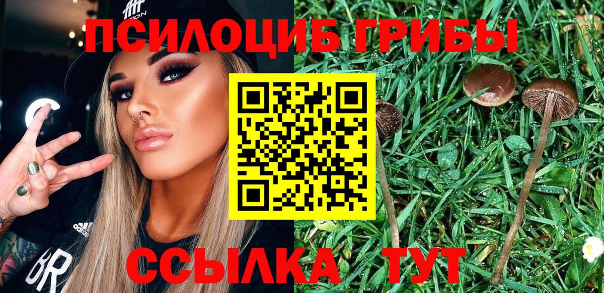 Галлюциногенные грибы прущие грибы Тольятти